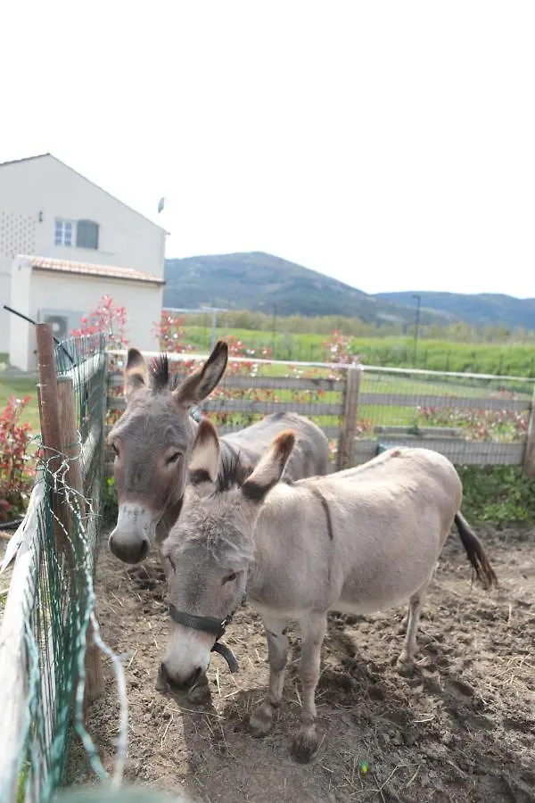 Agriturismo I Casali Fiumaretta di Ameglia